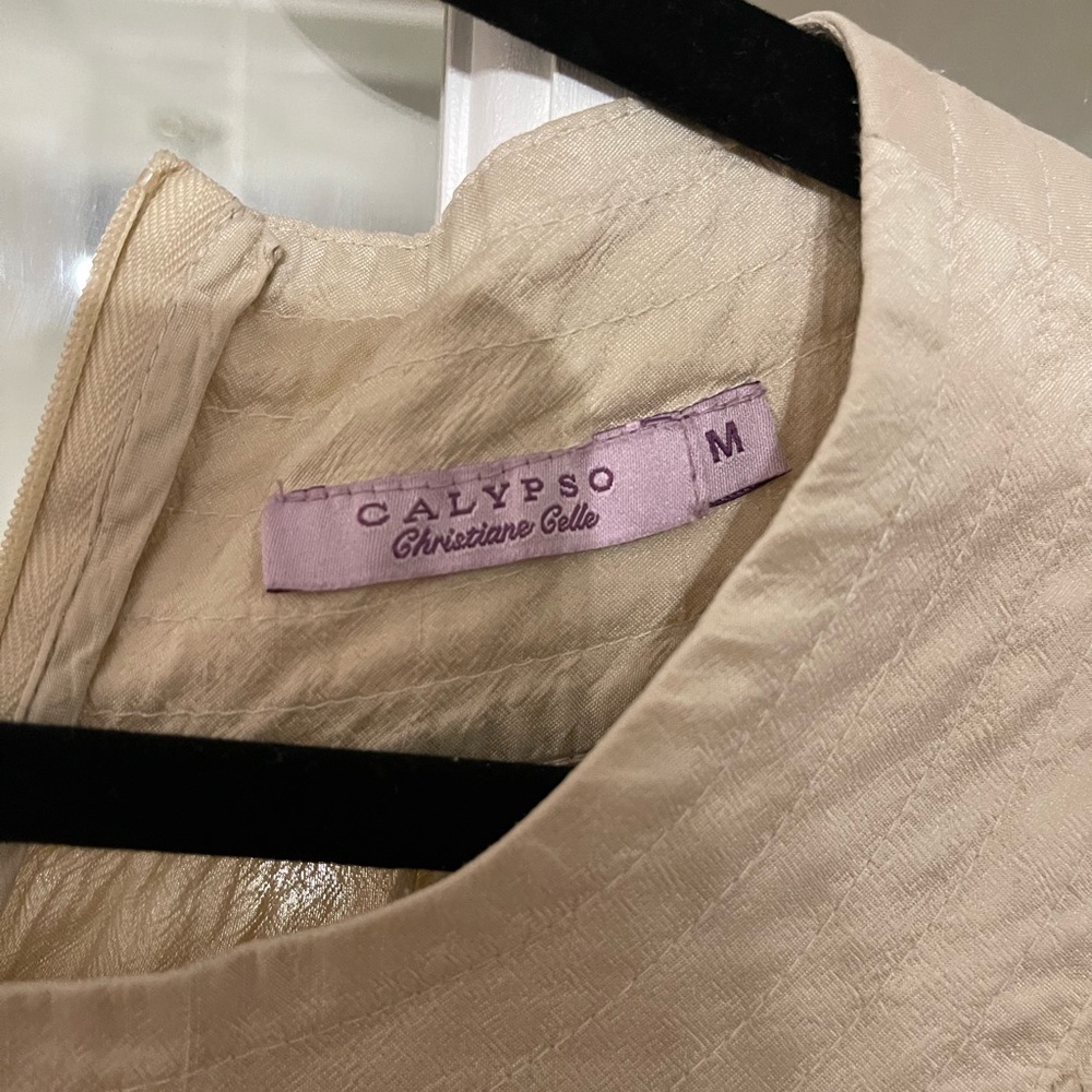 Calypso nude shift dress - Picture 4 of 5